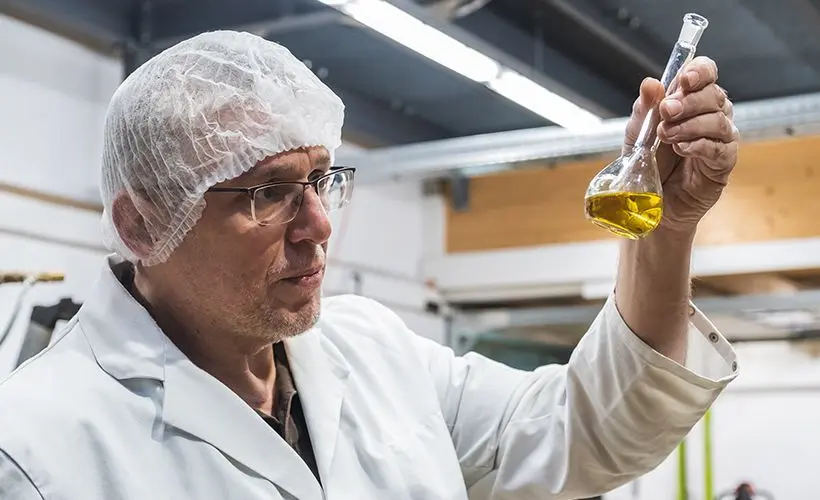 Ein Mitarbeiter im weißen Laborkittel und mit Haarnetz hält prüfend einen Glaskolben mit goldenem, frisch gepresstem Speiseöl ins Licht.